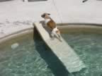 AC4.jpg (14kb)