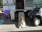 rv.jpg (40kb)