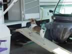 rv7.jpg (37kb)