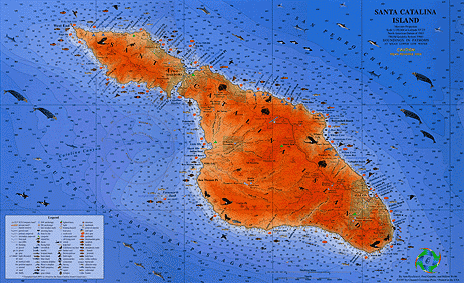 catalina.gif (77503 bytes)
