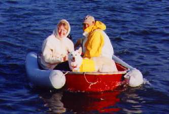 rags.jpg (12655 bytes)