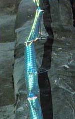 Close up of Irri-Tape as a physical barrier