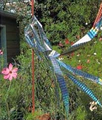 Irri-Tape in a garden...