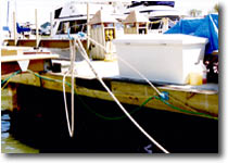 Line Caddy Dcoksider