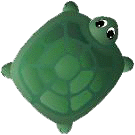 safety turtle